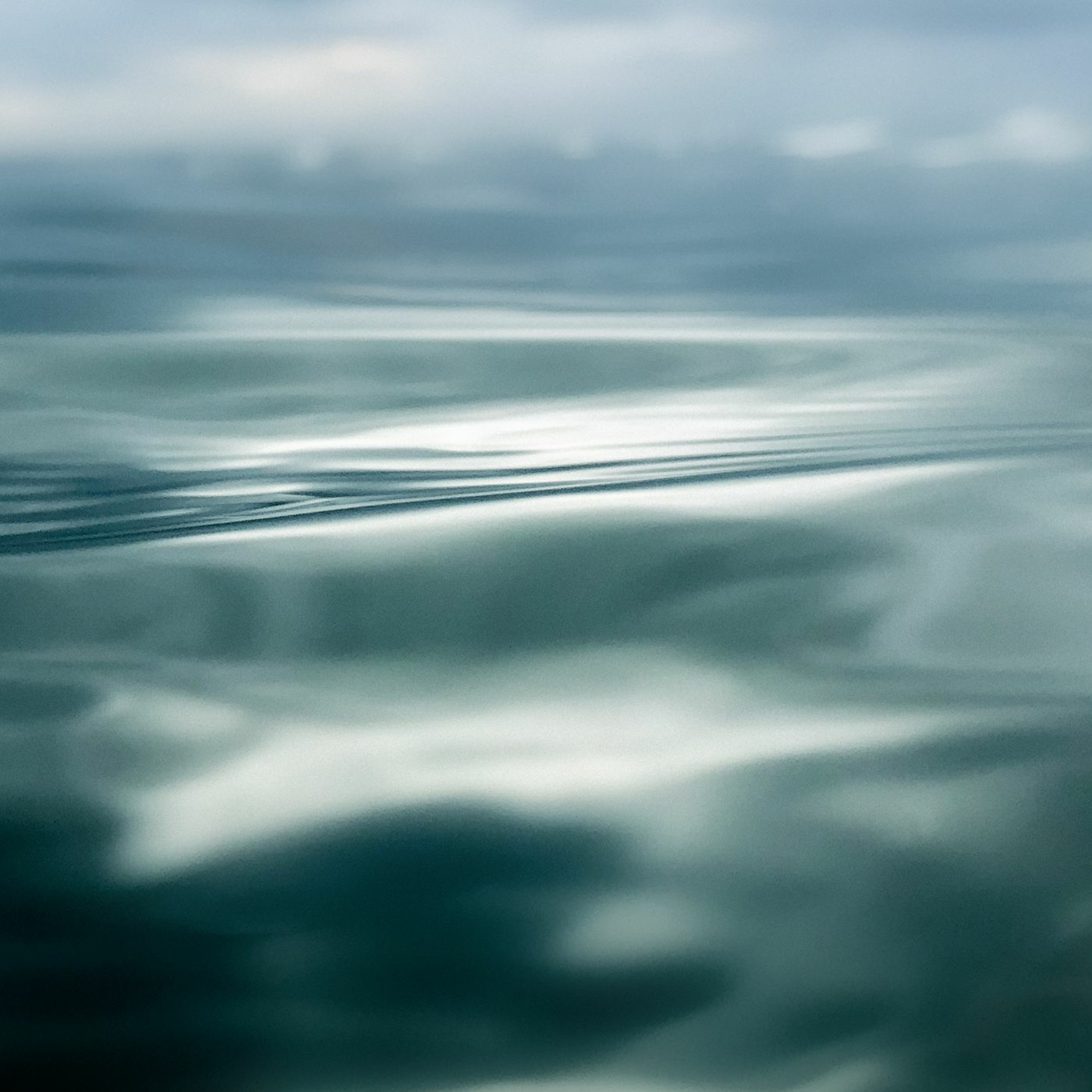 Cast Adrift