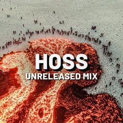 Hoss 2025 Unreleased mix