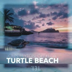 Turtle Beach
