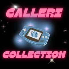 The Calleri Collection