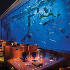 Stories with Max and Mya (The Italian Restaurant, Story of Three Fish)