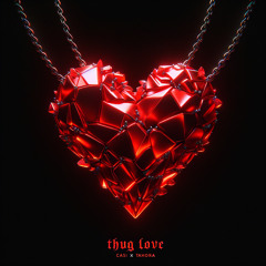 Thug Love (Feat.Tahoora) [Prod.Amira]