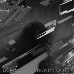 STRIPE OUT: DNB DRIVE 002
