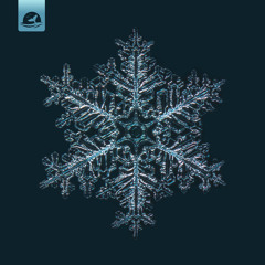 Snowflake (feat. Naomi Alzingre)