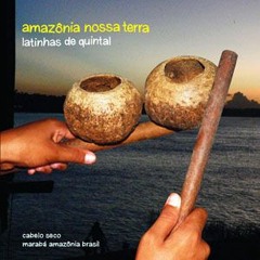 Alerta Amazonia