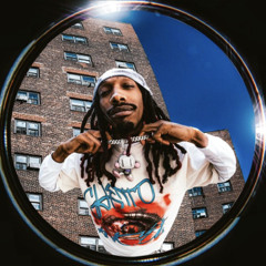 Diego Money - BirdGang (prod. gehmstone x gray tllr x smokkybastard) [djslimebxll]