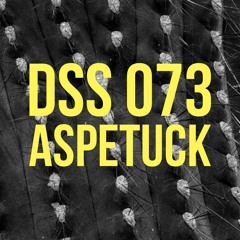 DSS 073 | Aspetuck