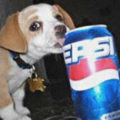 Bitches Love Pepsi