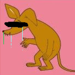 Delulu Dis2rack