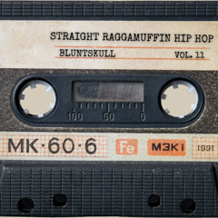 Straight Raggamuffin Hip Hop Mixtape Vol. 11