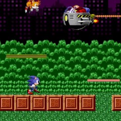 Spring Yard Zone