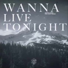 Martin Garrix - Wanna Live Tonight (ID)