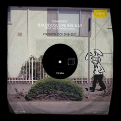 camoufly - Kaleidoscope (feat. Alexander Lewis) [KnightBlock DnB Edit]