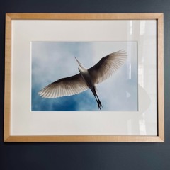 Sounds of JTENG | Vol. 2