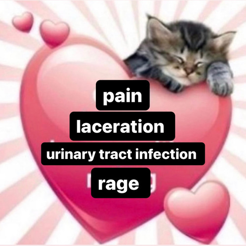 PLUR!!! (painlacerationurinarytractinfectionrage)