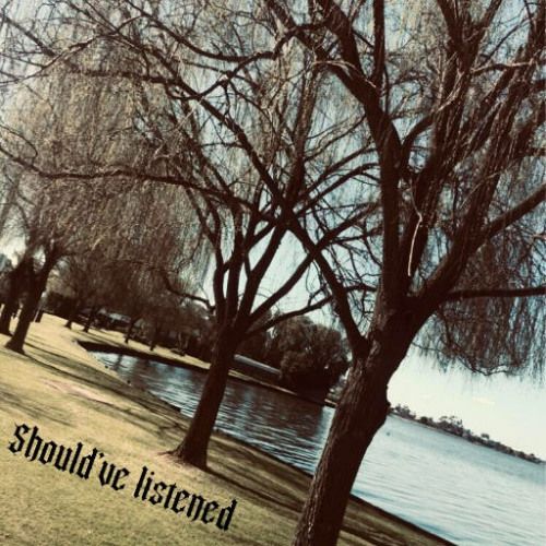 should've listened