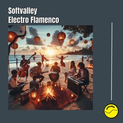 Electro Flamenco