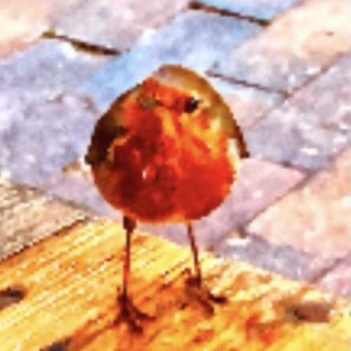 Sky Light Grey (Collaboration James Whiteman & Original Spruce)