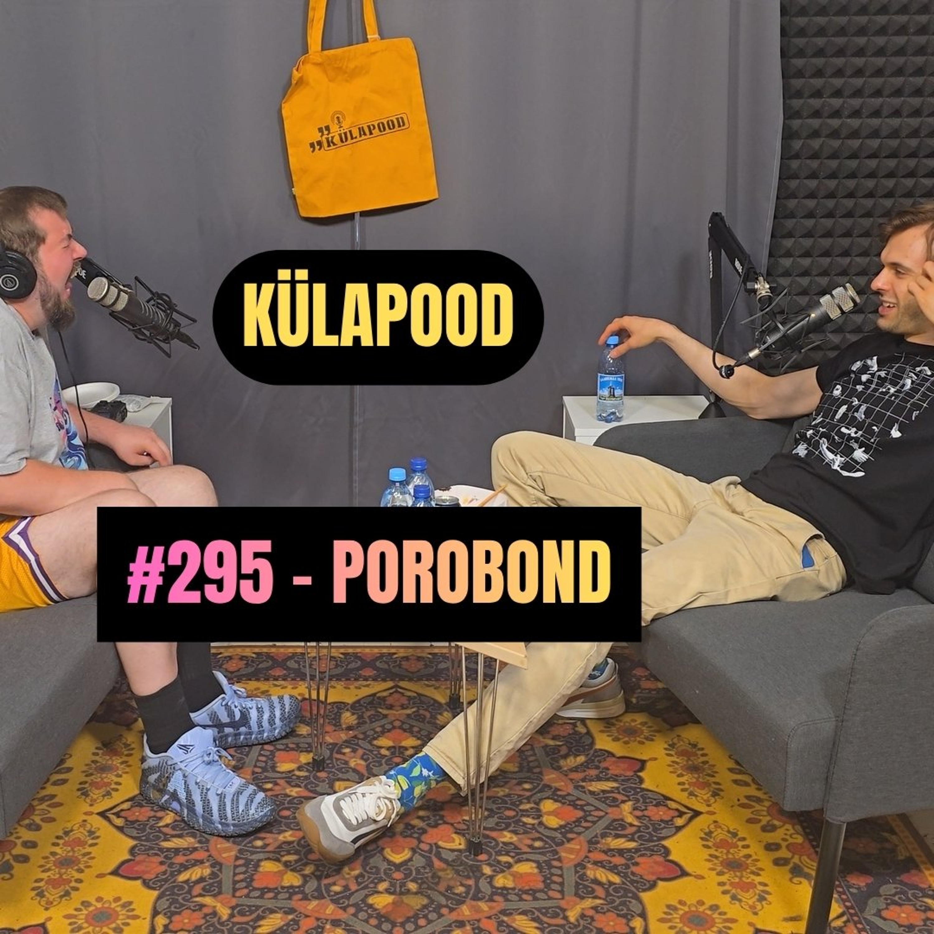 #295 - Porobond