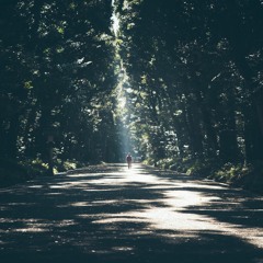 الفرق بين قيادة الله لحياتنا والقيادة بالنفس