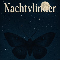 Nachtvlinder.mp3