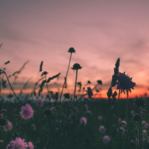 Until Next Time (Wane of Summer & Annie Smart)