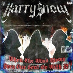 HARRY $NOW & LIL$TYX - WHEN THE WINDBLOWS DOES OUR SOUL GO WITH IT? (PROD. 666 MOUND PLAYA)