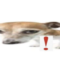 La M1lF pela la C0l4