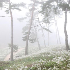 misty town - lamp