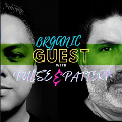 Pulse & Pattern: Guest Chronicles