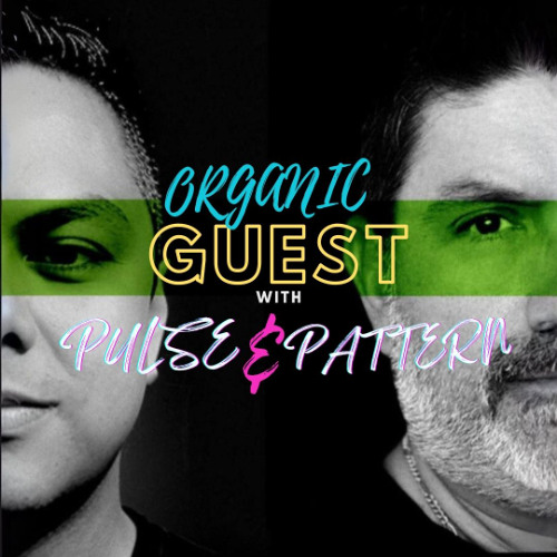 Pulse & Pattern Guest Mix Shows