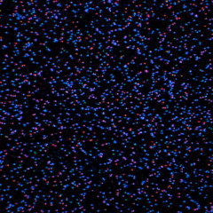 рассуждение о бобрах (раскрытие голоса)