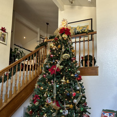 the christmas song ~ cover