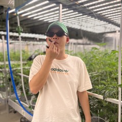 chắp cánh 🚀🚀🚀