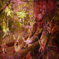 forest prod. personah