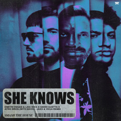 She Knows (Jaxx & Vega Remix) [feat. Akon]