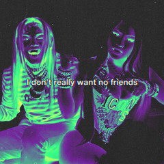 I DON'T REALLY WANT NO FRIENDS