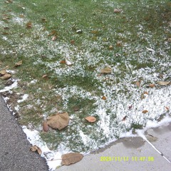 Leavesalluponme p.(everydaysinner)