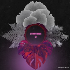Mixtape 003 - Ethnotronic 01