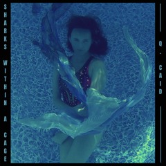 Sharks Within a Cage