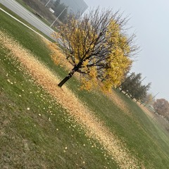 Megumi Acorda - Nothing / Forgotten