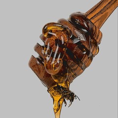 Honey Man (Mellow Mix) RIP DanLeMiel aka BlueToad.  Collab. with Friends