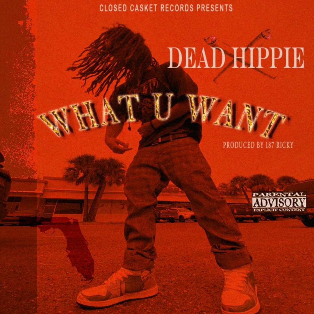 187 Ricky Stream Dead Hippie - What U Want (prod. 187 RicKy) CCR 187 LEAK by 187 ...