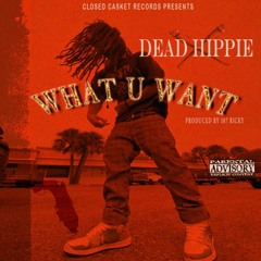 Dead Hippie - What U Want (prod. 187 RicKy) CCR 187 LEAK
