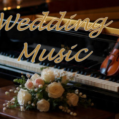 Wedding 3 (Housle + piano)