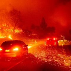 Burning Down LA