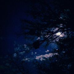 When The Rain Comes