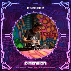 PSYBEAR @ Dimension Festival 2023 - Main Stage