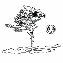 Sombras / Getting Wasted (REMASTER )