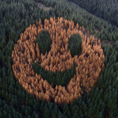 BEDHED- PLEASE TELL ME